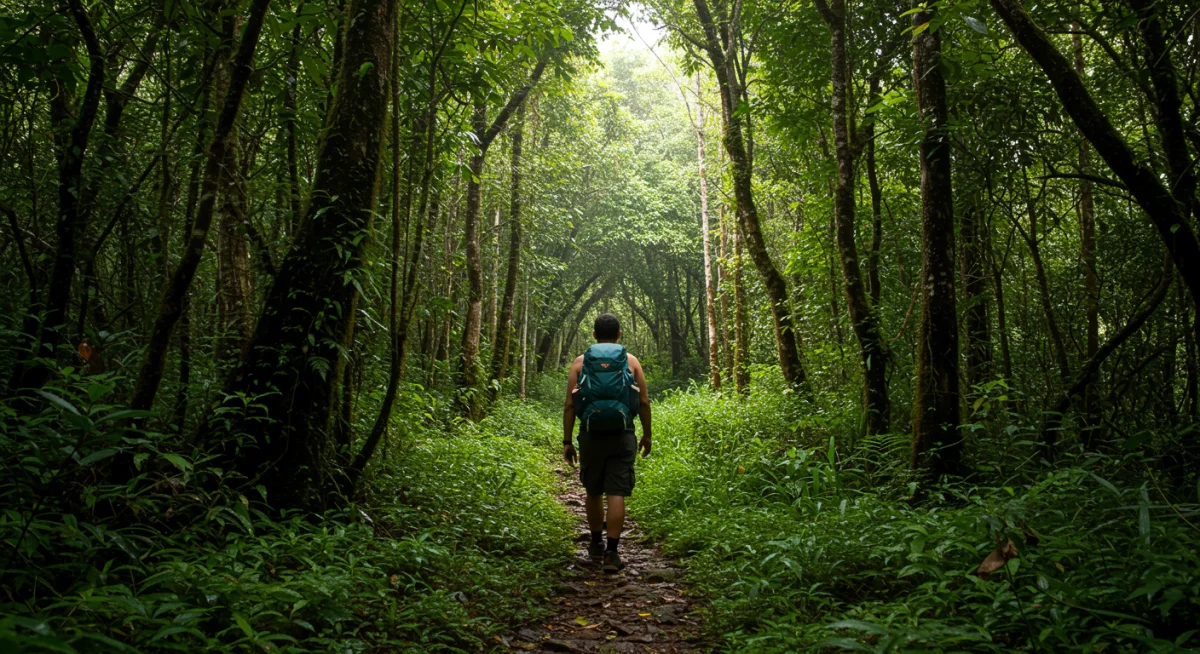 Pessoa caminhando em uma floresta densa e verde no Brasil, com raios de sol filtrando pelas árvores, transmitindo frescor e conexão.