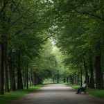 Natureza e saúde mental: 30 minutos diminuem ansiedade em 15% Pessoa relaxando em um parque verde sob a luz do sol, simbolizando a paz e a diminuição da ansiedade proporcionadas pela natureza.